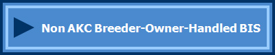   Non AKC Breeder-Owner-Handled BIS