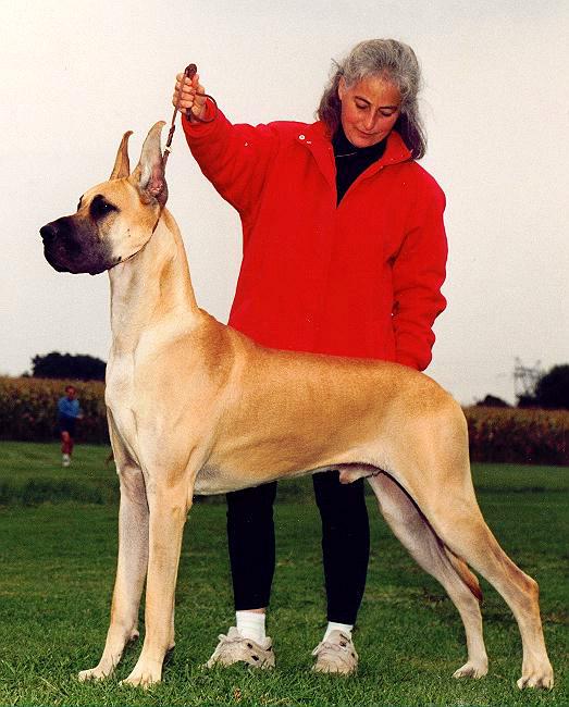 cannon.jpg - 68996 Bytes