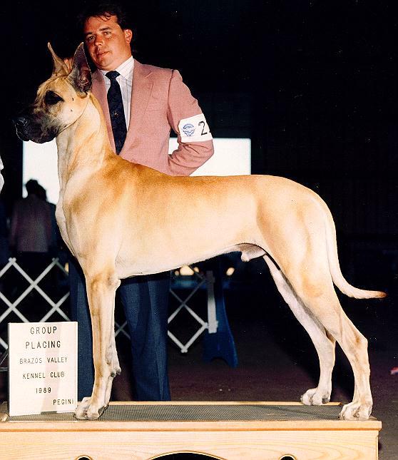 casey.jpg - 68996 Bytes