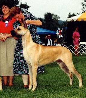 dancer.jpg - 68996 Bytes