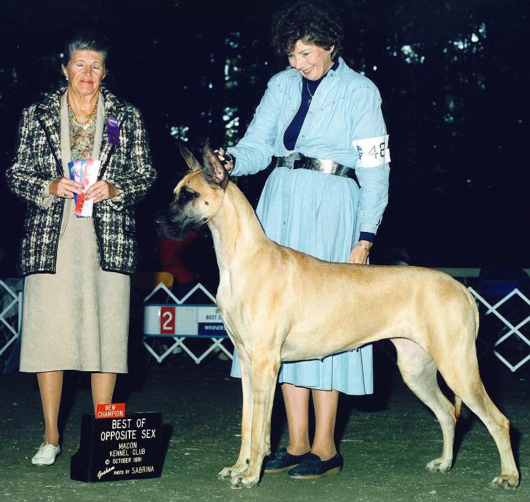 debut.jpg - 126054 Bytes