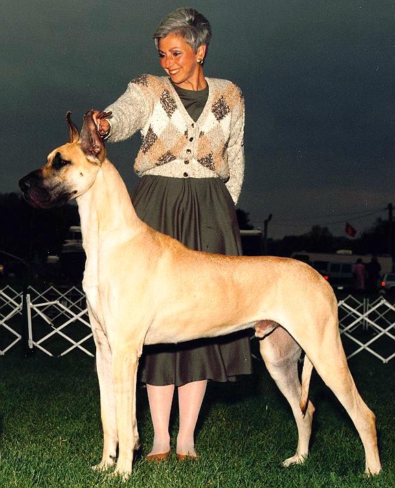 easygoer.jpg - 68996 Bytes