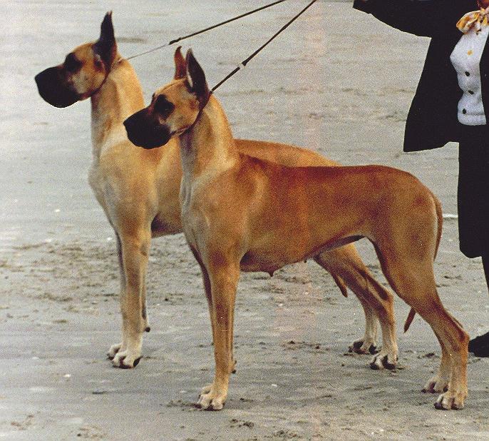 holym.jpg - 68996 Bytes