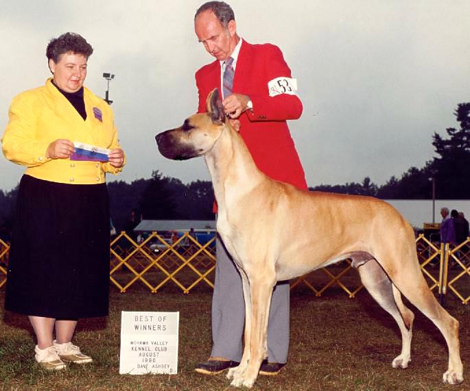 storm1.jpg - 37915 Bytes