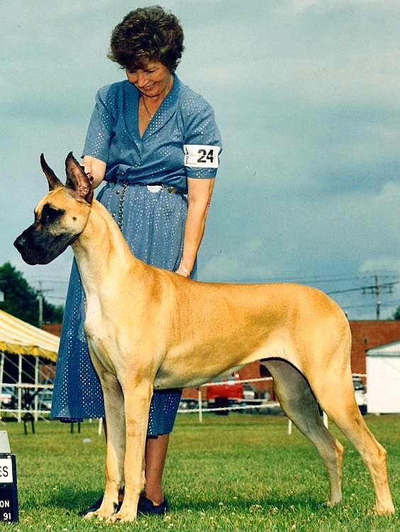 witch2.jpg - 68996 Bytes