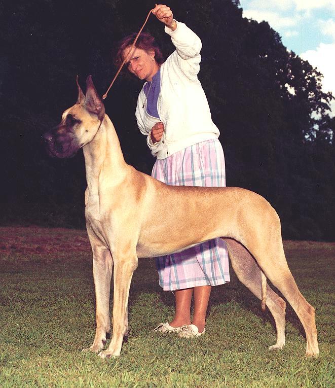 busy.jpg - 68996 Bytes