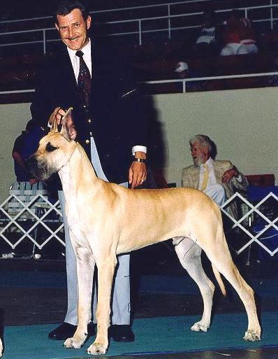 hammer.jpg - 68996 Bytes